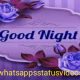 Good-Night-Wish-Status-Video-Download