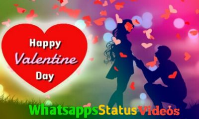 Valentines Day Special Whatsapp Status Video Download