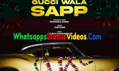 Gucci Wala Sapp Song Rangrez Sidhu Status Video