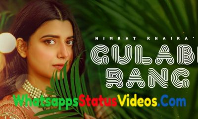 Gulabi Rang Song Nimrat Khaira Whatsapp Status Video