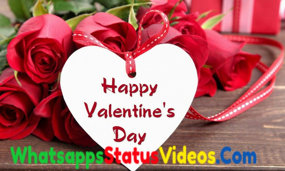 Happy Valentine Day 2022 Whatsapp Status Video