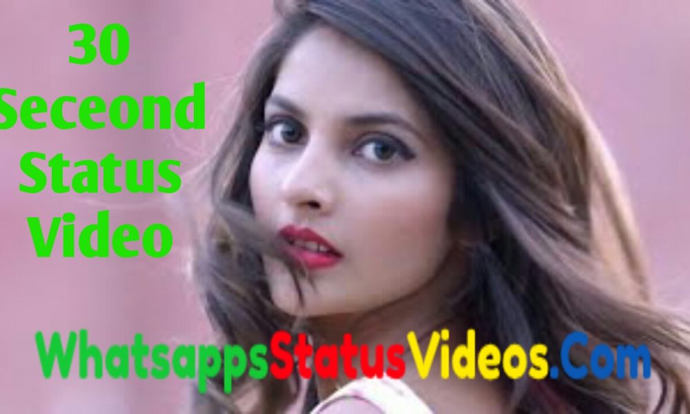 30 Seconds Whatsapp Status Video