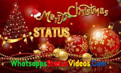 Merry Christmas 2021 Whatsapp Status Video Download