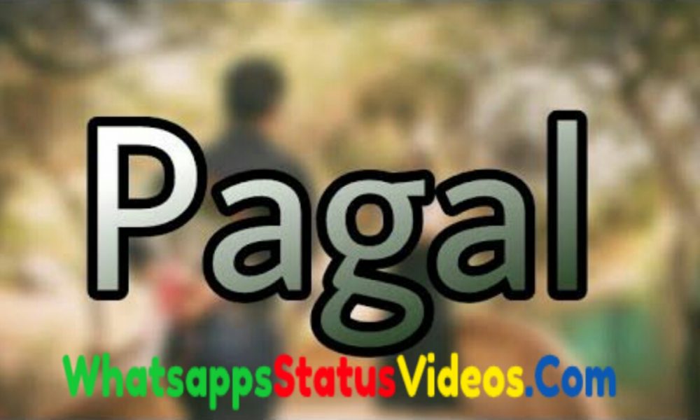 Pagal World Whatsapp Status Video