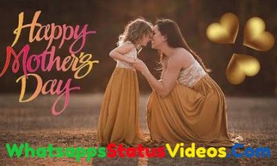 Mothers Day Special HD Whatsapp Status Video Download 2022