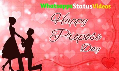 Happy Propose Day 2022 Whatsapp Status Video Download