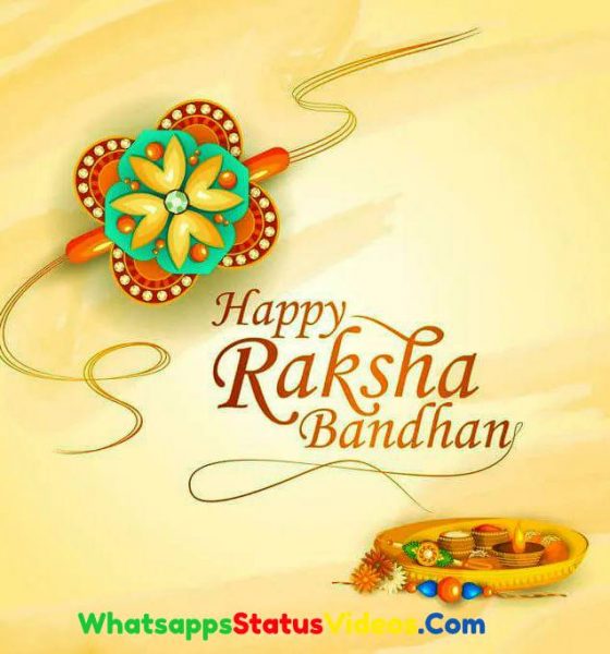 Raksha Bandhan Special Whatsapp Status Video Download