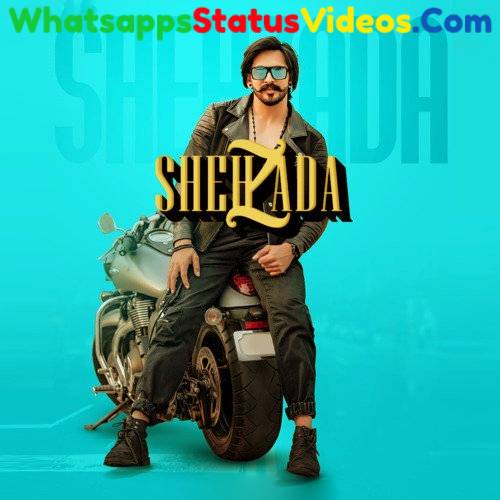 Shehzada Song Shehzada Whatsapp Status Video Download