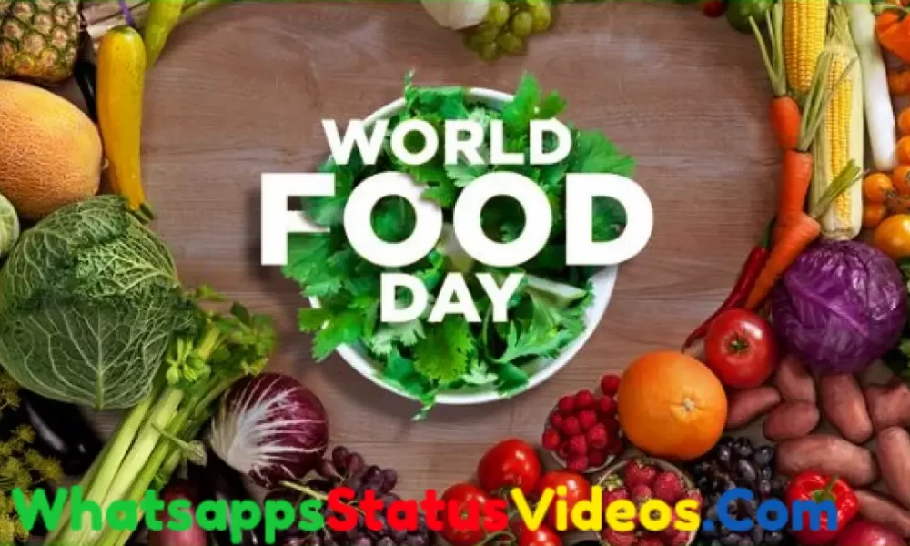 World Food Day Special Short Whatsapp Status Video