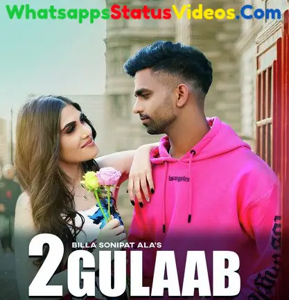2 Gulaab Song Billa Sonipat Ala Whatsapp Status Video Download