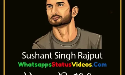 Sushant Singh Rajput Birthday Wishes Whatsapp Video Status Download