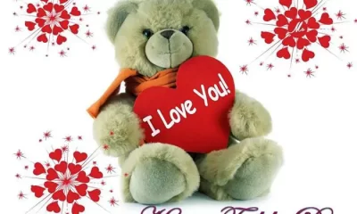 10 February Valentine's Day Special Teddy Day Status Video Download