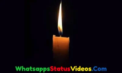14 February Pulwama Attack Full Screen Whatsapp Status Download