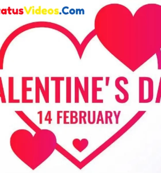 14 February Valentine's Day Special Whatsapp Video Status Download