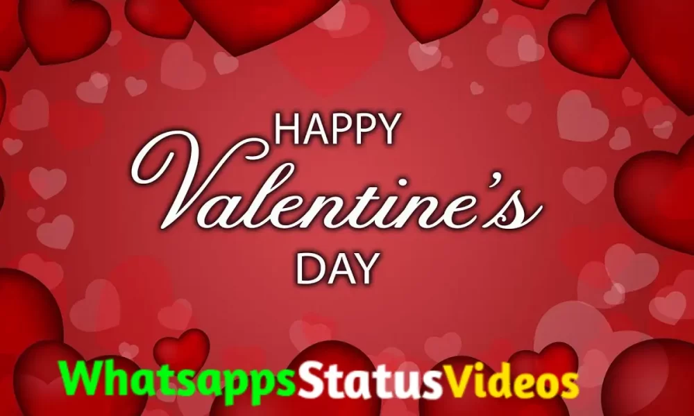 14 February Valentines Day Whatsapp Video Status