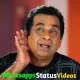 Brahmanandam Funny Whatsapp Status Video Download