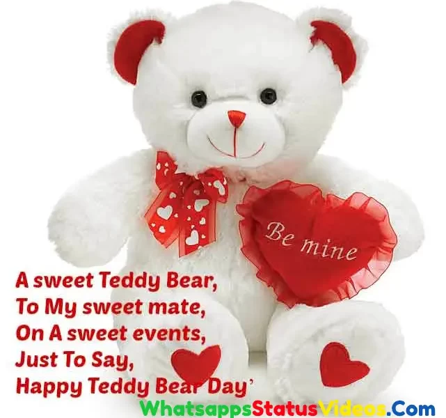 Teddy Day Wishes Whatsapp Status Video