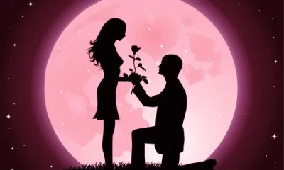30 Seconds Romantic Love Propose Status Video Download