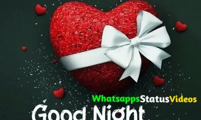 Good Night Quotes WhatsApp Status Video Download