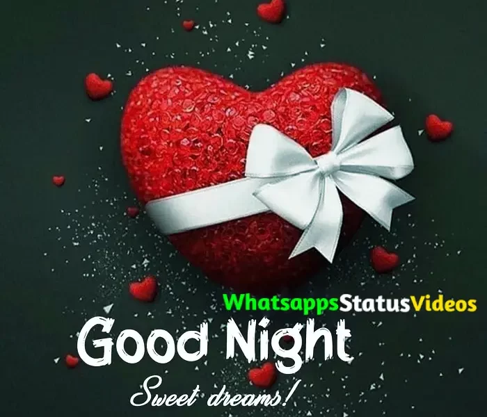 Good Night Quotes WhatsApp Status Video