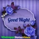 Good Night Status Malayalam Video Download