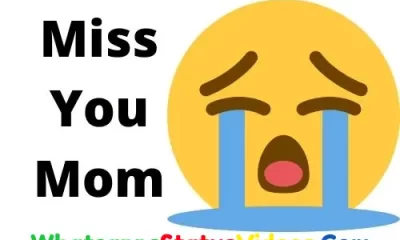 Miss You Mom Whatsapp Status Video Download