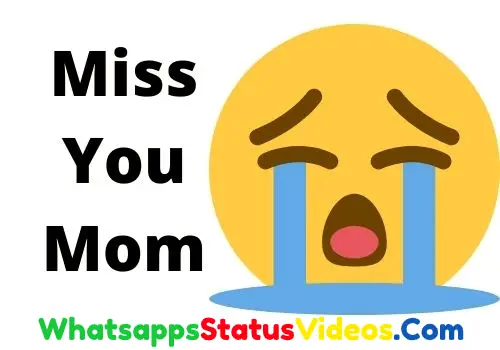 Miss You Mom Whatsapp Status Video Download