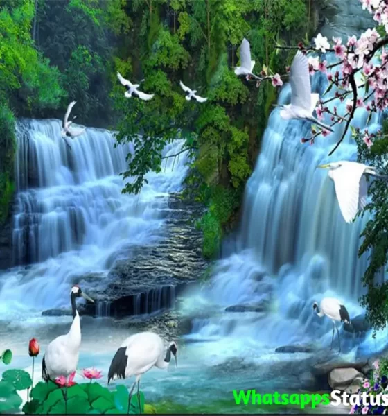 Beautiful Waterfall Whatsapp Status Video Download