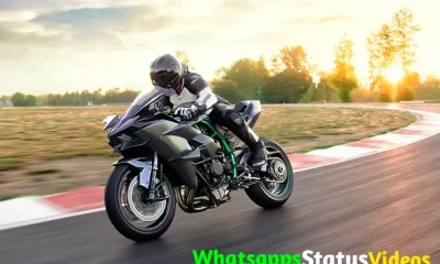 Ninja H2 Lover Whatsapp Status Video Download
