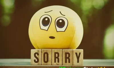 Sorry 30 Seconds Whatsapp Status Video Download