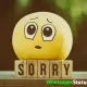 Sorry 30 Seconds Whatsapp Status Video Download