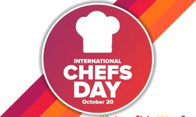 International Chef Day 2022 Whatsapp Status Video Download