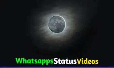 Margashirsha Amavasya Whatsapp Status Video Download