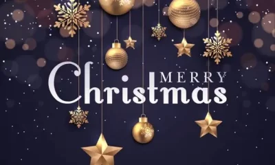 Merry Christmas Whatsapp Status Video Download