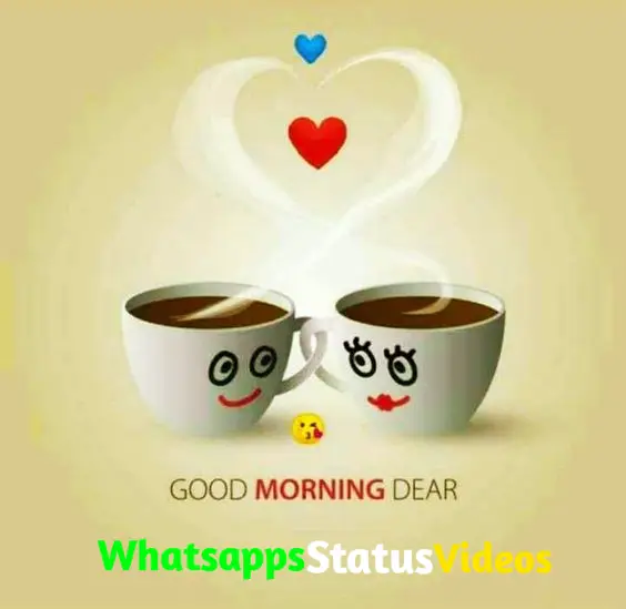 Good Morning Status 4k Full Screen Instagram