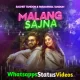 Malang Sajna Song Sachet & Parampara Tandon Status Video Download