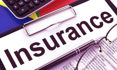 Insurance Companies Definition and Functions